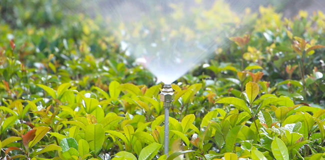 家卉智能科技有限公司_自动喷淋灌溉浇花系统专业供应商